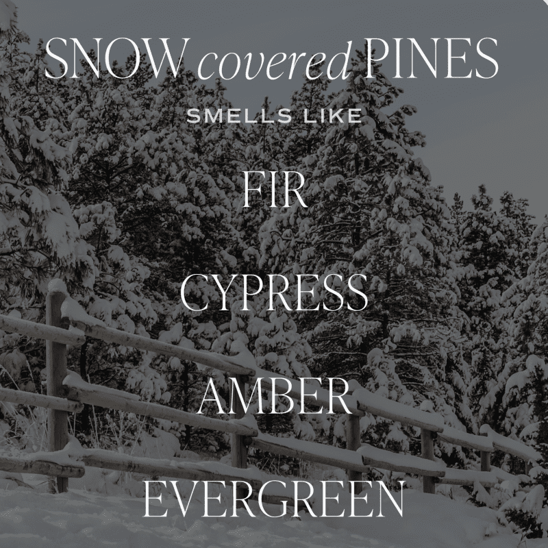 2024 SCENT NOTE SNOW COVERED PINES 103080