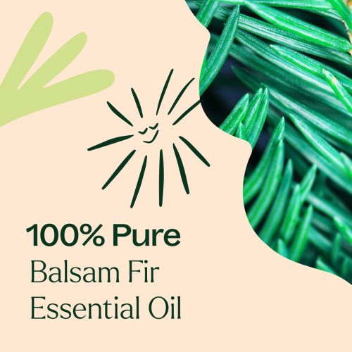 Balsam Fir 03Large