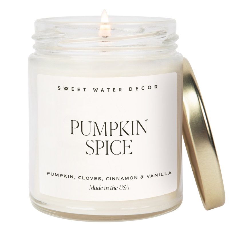 C103 PUMPKIN SPICE 9OZ CANDLE SWD 2024 WB 599921