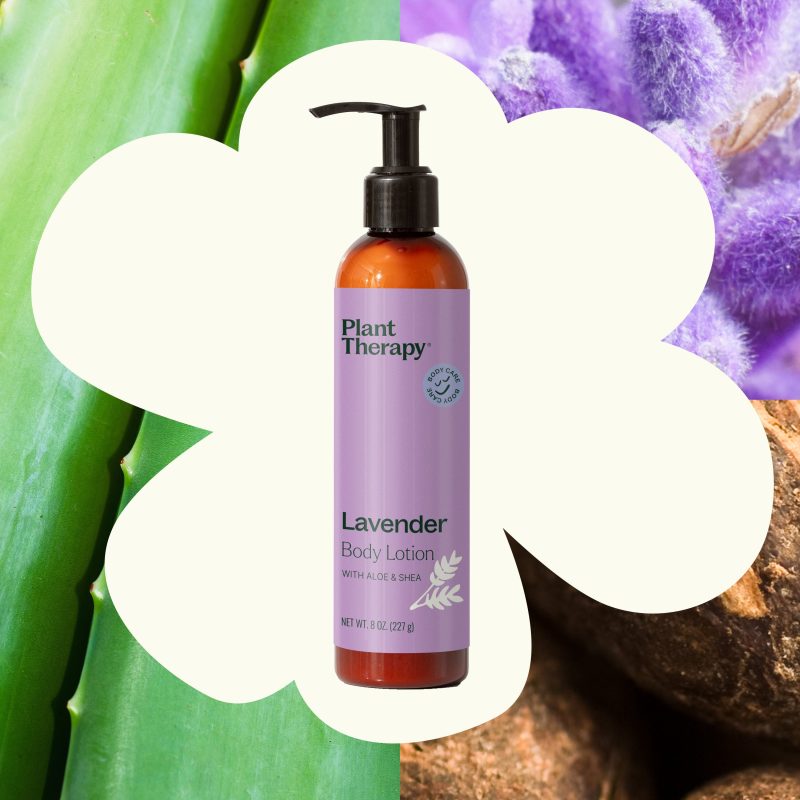 Lavender Body Lotion Aloe Shea 02