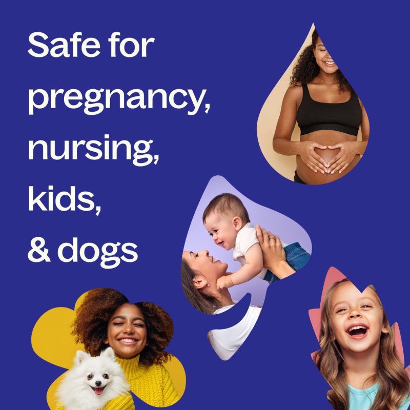 Safety Pregnancy Nursing Kids DogsLarge 1c64b511 e373 45b8 a76c 27d68aceb750