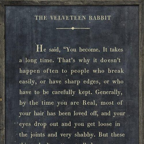 VelveteenRabbitwallart