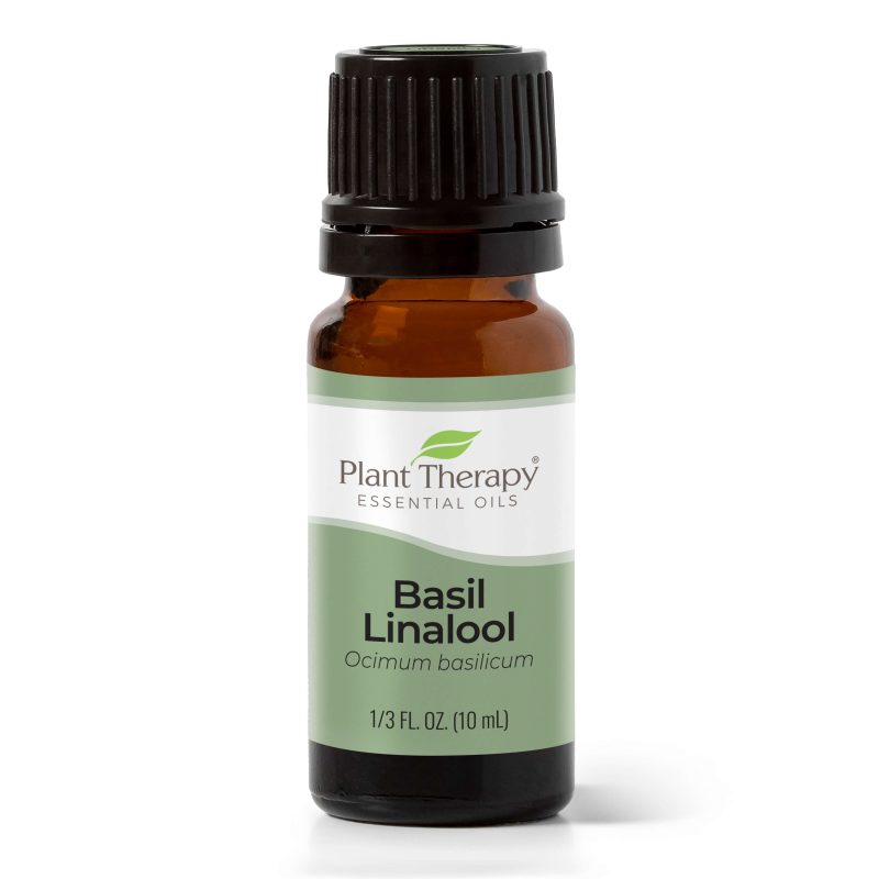 basil linalool eo 10ml 01