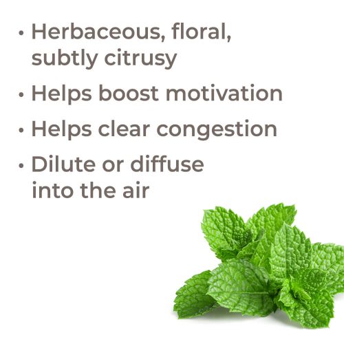 bergamot mint eo benefits