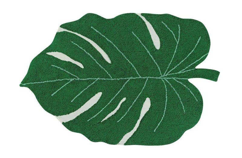 c monstera 1 1