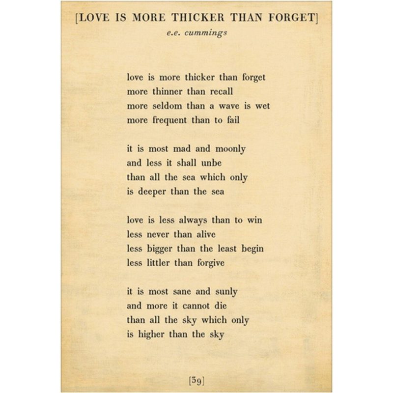 Sugarboo Designs Love is More Thicker - Poetry Collection Sign (Gallery Wrap)