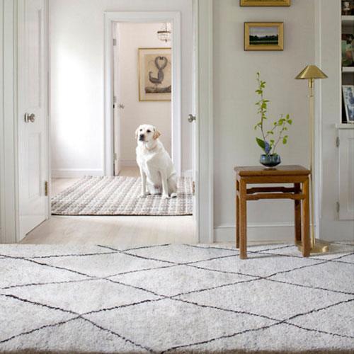 Dash & Albert Numa Charcoal Hand Knotted Rug