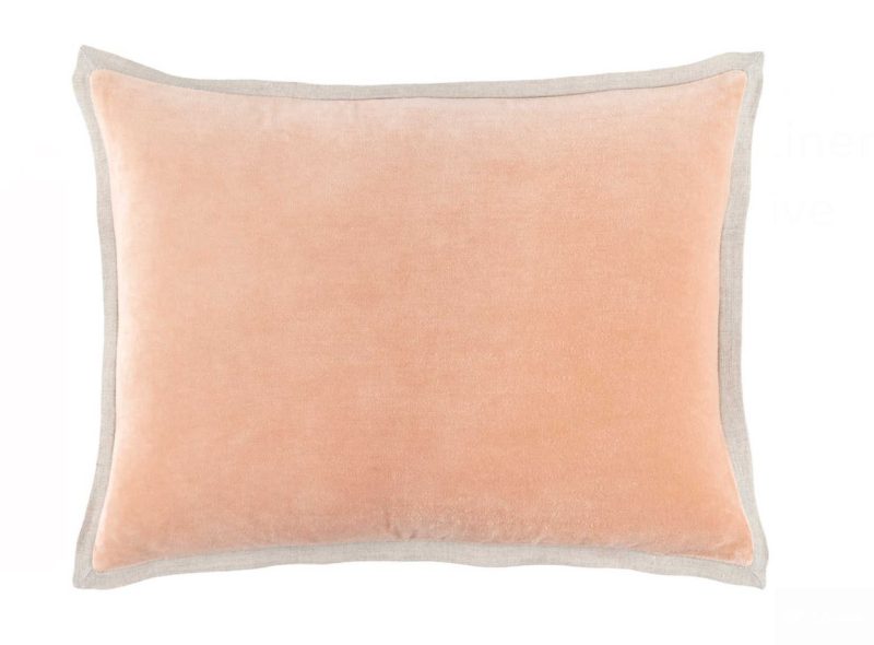 gehryvelvetnudepillow1